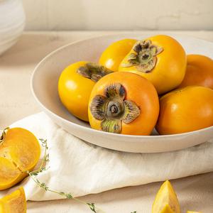 제철 달콤 아삭한 진영 햇 단감 4kg