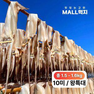 [국내원양]짜지않고 촉촉한 몰먹지 반건조오징어 왕특대 10미- 구룡포 해풍 최상급 피