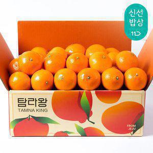 [탐라왕] 고당도 제주 황금향 4kg