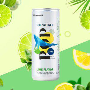 [본사직영] 아이스웨일팝 라임 250ml 48캔