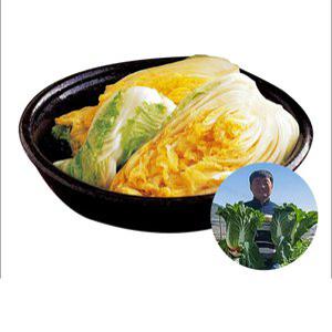 해남 절임배추 20kg 8-19포기 #발송일지정