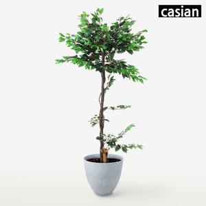 인조나무 벤자민(화분형D) CN 인테리어 대형 조화나무