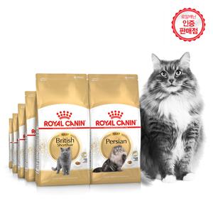 로얄캐닌 고양이사료 묘종별 건식 베스트 4kg 10kg  브리티쉬숏헤어 노르웨이숲 랙돌 샴 뱅갈 페르시안 키