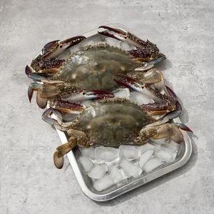 [롯데백화점]자연맛남 산지직송 국내산 진도 활 숫꽃게 3kg (6-9미/대사이즈)