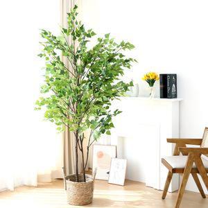 조화나무 인조 화분 실내 인테리어 조경 꽃화분 자작나무 180cm