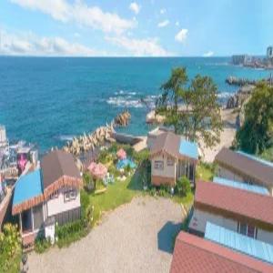 [경북/포항] 포항 푸른고래카라반 (공용샤워실/공용주방시설/카페/주차장/바다(도보5분)/오션뷰/카라반/커플/가족/공용수영장(실외)/개별바베큐/애견)