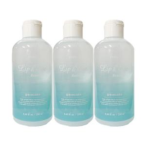 에뛰드 립 앤 아이 리무버 250ml X 3개