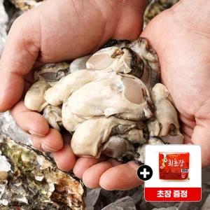 [롯데백화점]자연맛남 산지직송 국내산 신선한 통영 햇 생굴 3kg 초장포함