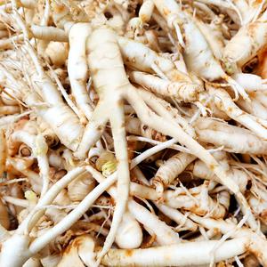 금산고려인삼 못난이삼 파삼 300g