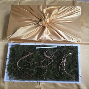 천생삼 산양산삼 13년근 정삼 특상품 3뿌리 산삼 산양삼 장뇌삼