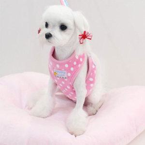 강아지 보온 하네스 (핑크) 겨울 산책 가슴줄 (리드줄 포함)