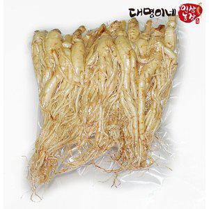 [대명이네 인삼농장]콩난발 25뿌리내외 750g/세척 인삼 수삼 주스용 홍삼용 삼계탕용