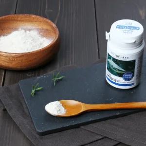 상어연골 파우더 40g 강아지 애견 수제간식