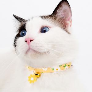 반려묘 반려견 패션 꽃목줄 인식표 펫 방울목걸이