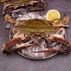 [롯데백화점]자연맛남 산지직송 국내산 진도 활 숫꽃게 2kg (4-6미/대사이즈)