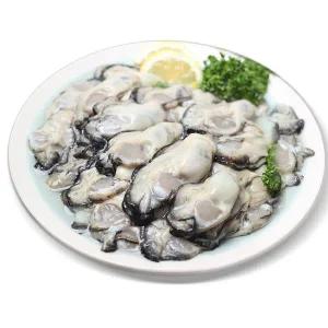 [순천만 수산]통영 생굴 1kg 수협수매상품 당일장만 출고