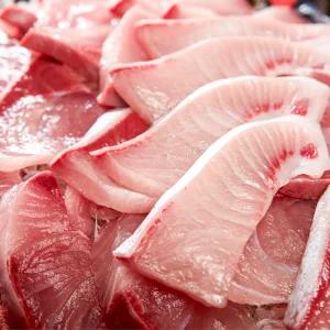 [해동찬가] 살이 제대로 오른 제철 방어회 500g (중방어 / 대방어 / 슬라이스)