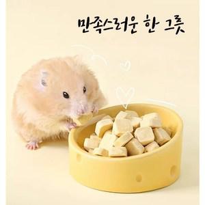 (BEST) 타핏 급식기 햄스터 밥통