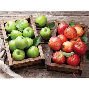 1000피스퍼즐 빨간사과 미니 풋사과와qrs394