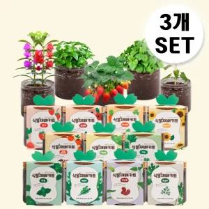 [3개세트] 식물키우기 식물재배키트 방울토마토 딸기 고수 바질(10type)