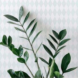 풀바른 벽지유행 조각 만능 붙이는 풀먹인 다이아몬드