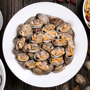 T_[오늘의바다] 남해안 문어바지락 1kg