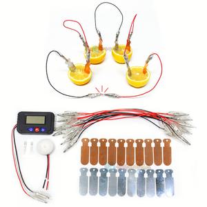 전지의원리학습 과일로전기만들기실험 안전전선집게세트