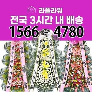 제주 씨에스 호텔앤리조트 웨딩홀 화환 결혼식 3단 개업화환 당일 전국꽃배달 라플라워