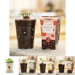 방울토마토 씨앗심기 씨드볼 미니화분 흙 패키지/관찰/교육/반려/식물/키우기/베란다꽃/베란다용/수업용