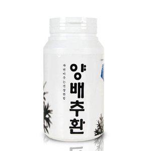 고품질 양배추환 300g (WFHTZO4)