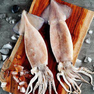 통찜용 오징어 1kg 2팩