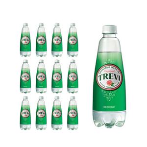 500ml 탄산수 트레비 자몽 주문 탄산 단체 음료수 12p 에이드 카페 행사 여름 홈카페