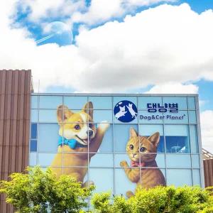 [제주] 댕냥별 제주 관광지 실내관광지