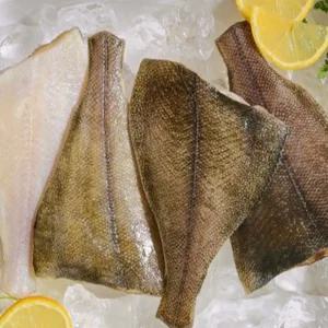 어부백서 두절 가자미 1.6kg