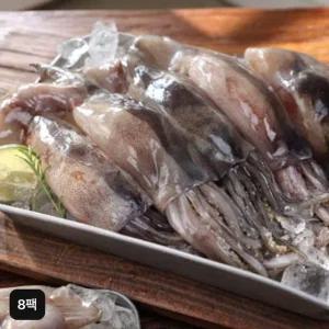 손질통오징어 220g (2미)X8팩 (총 16미)
