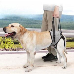강아지 다리 보조기 강아지보행기 보행기 보조 마비 대형견