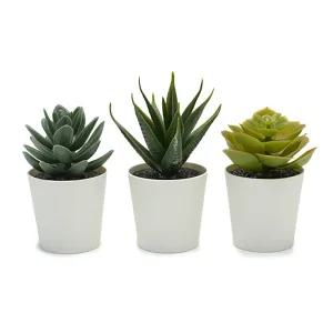 이케아 페이카 인조 다육 식물 화분 6cm 3개 인테리어 미니 다육이