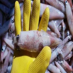 자연산 급냉 한치 1kg 원양산 총알 한치 14-26미 (중)