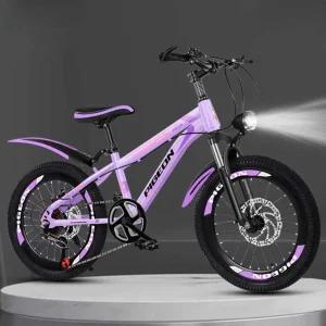 22인치자전거 초등여아자전거 20인치 스포크 두발