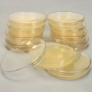유산균배양배지 MRS Agar Plate 90mm 1pcs SN (냉장보관)
