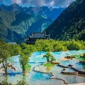 [중국무비자] 성도/구채구/북경 6일 #구채구#황룡#낙산대불#무후사#사천훠궈#구채구열차이동#특급호텔