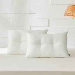 통째로 빨아쓰는 이지넥 경추베개솜 1+1세트