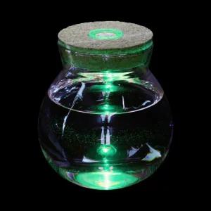 LED 마리모병 (12x13cm) JT91수경재배 반려식물 키우기 용품 테라리움 모어항 수조 LED유리병 공병