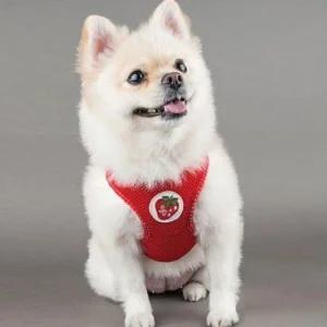 예쁜 XL 강아지여름하네스 애견 개가슴줄 몸통줄 옷하 하네스 가슴 보듬 초소형견 새끼 대형견 소형견 몸줄