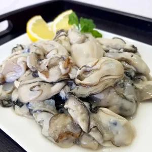 송가네장터 경남 통영 생굴 1kg 당일조업 