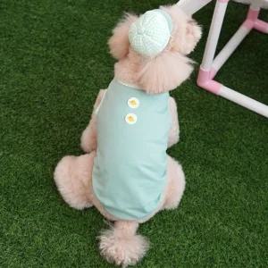 패리스독 삐약이 티셔츠 세트(민트 모자포함)개옷 강아지패션용품 반려견 외출복 동물 강아지 예쁜 반려 견