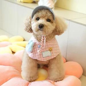 패리스독 버디케이프 모자 세트 핑크 S-M강아지산책 애견 애완견