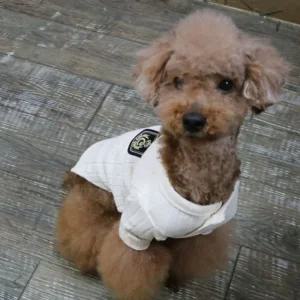 코코아허니 스쿨룩 꽈배기 가디건애완견옷 강아지의류 애견 반려 패션