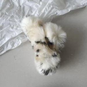 폼폼 빅사이즈 베이지레오파드 겨울 호피집게핀 (49MZc)