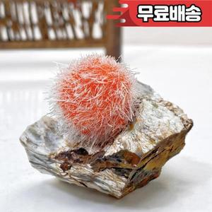 1pc 희귀 제올라이트 미네랄 표본 석영 클러스터 스톤  마디 그라 데이 성 패트릭 부활절 홈 장식